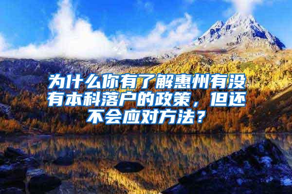 为什么你有了解惠州有没有本科落户的政策，但还不会应对方法？