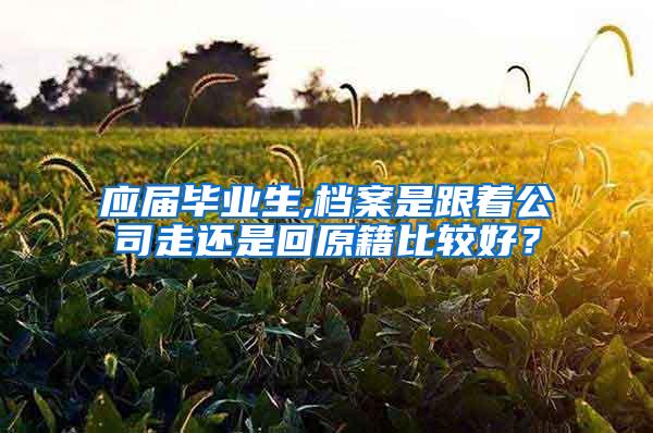 应届毕业生,档案是跟着公司走还是回原籍比较好？