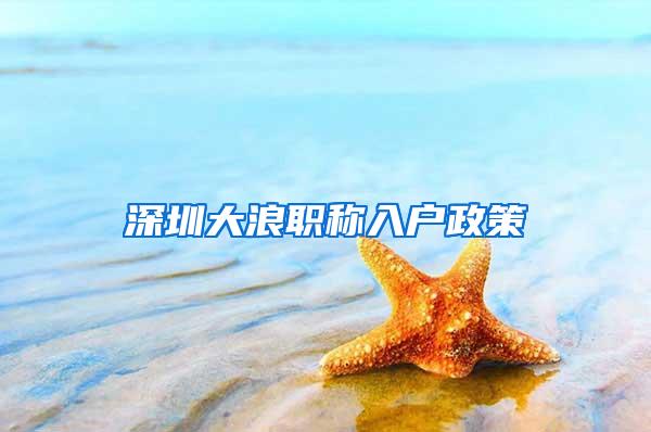 深圳大浪职称入户政策