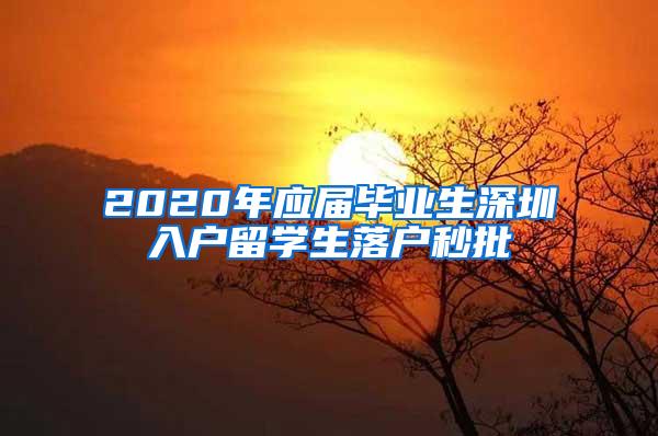 2020年应届毕业生深圳入户留学生落户秒批