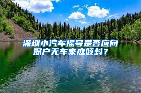 深圳小汽车摇号是否应向深户无车家庭倾斜？