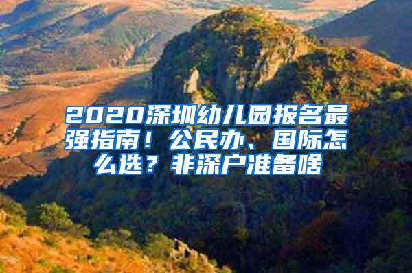 2020深圳幼儿园报名最强指南！公民办、国际怎么选？非深户准备啥