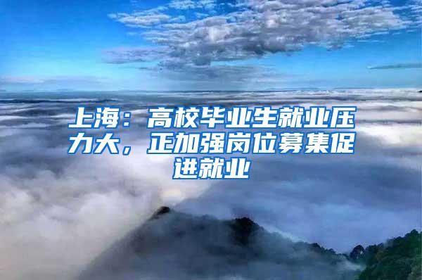 上海：高校毕业生就业压力大，正加强岗位募集促进就业