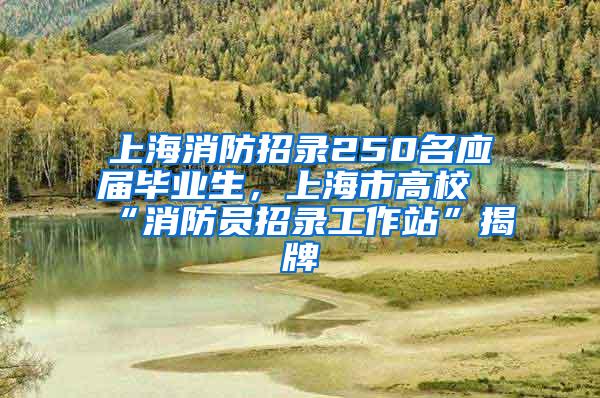 上海消防招录250名应届毕业生，上海市高校“消防员招录工作站”揭牌