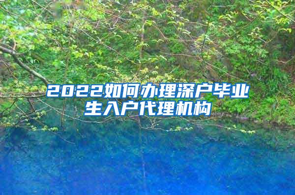 2022如何办理深户毕业生入户代理机构