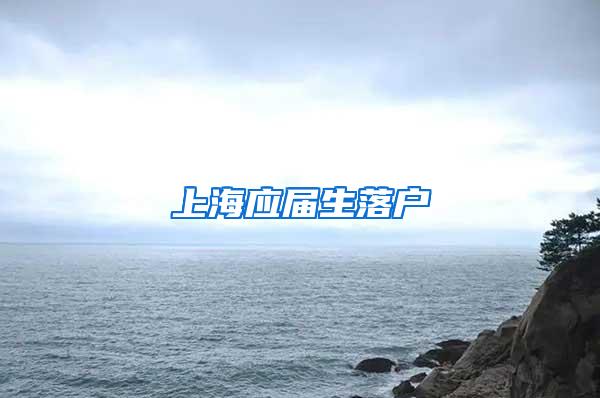 上海应届生落户