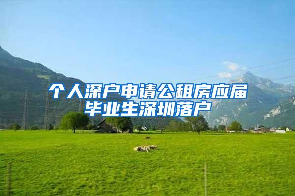 个人深户申请公租房应届毕业生深圳落户