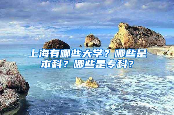 上海有哪些大学？哪些是本科？哪些是专科？