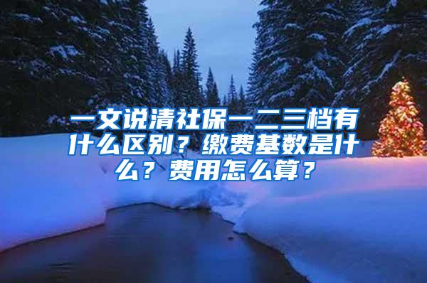 一文说清社保一二三档有什么区别？缴费基数是什么？费用怎么算？