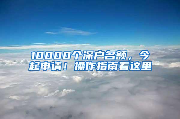 10000个深户名额，今起申请！操作指南看这里