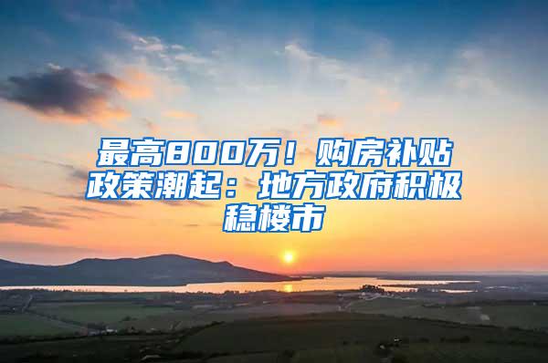 最高800万！购房补贴政策潮起：地方政府积极稳楼市