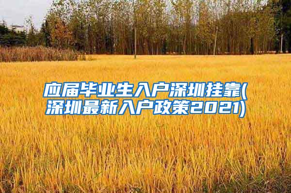 应届毕业生入户深圳挂靠(深圳最新入户政策2021)