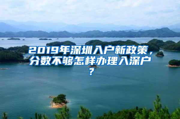 2019年深圳入户新政策，分数不够怎样办理入深户？