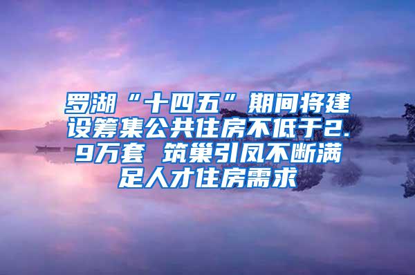 罗湖“十四五”期间将建设筹集公共住房不低于2.9万套 筑巢引凤不断满足人才住房需求