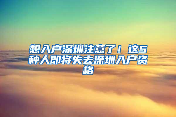 想入户深圳注意了！这5种人即将失去深圳入户资格