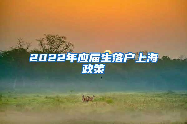 2022年应届生落户上海政策