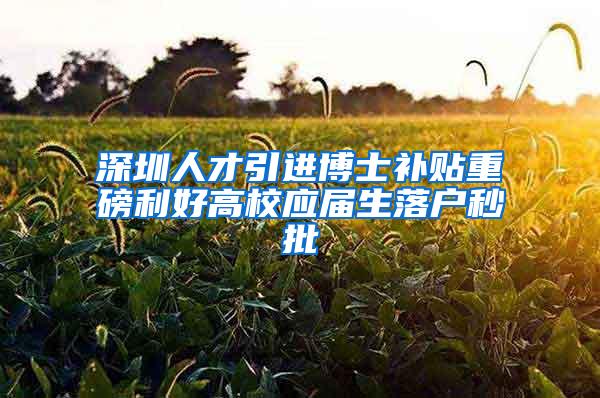 深圳人才引进博士补贴重磅利好高校应届生落户秒批