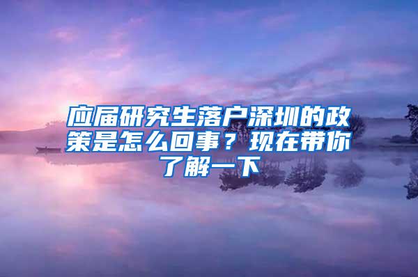 应届研究生落户深圳的政策是怎么回事？现在带你了解一下