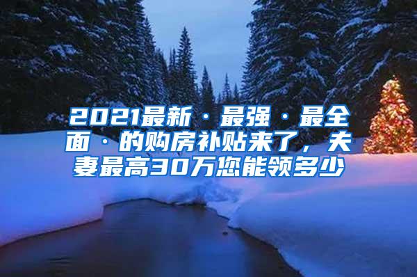 2021最新·最强·最全面·的购房补贴来了，夫妻最高30万您能领多少