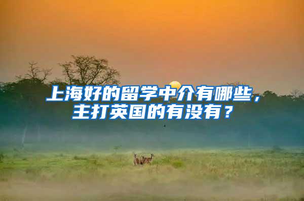 上海好的留学中介有哪些，主打英国的有没有？