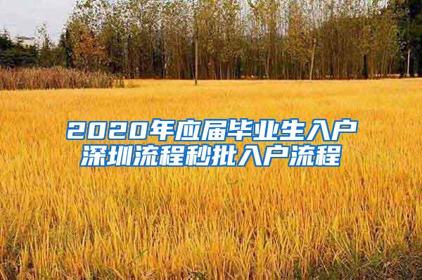 2020年应届毕业生入户深圳流程秒批入户流程