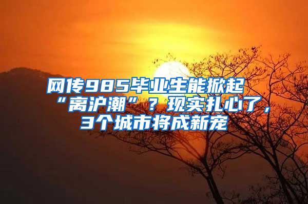 网传985毕业生能掀起“离沪潮”？现实扎心了，3个城市将成新宠