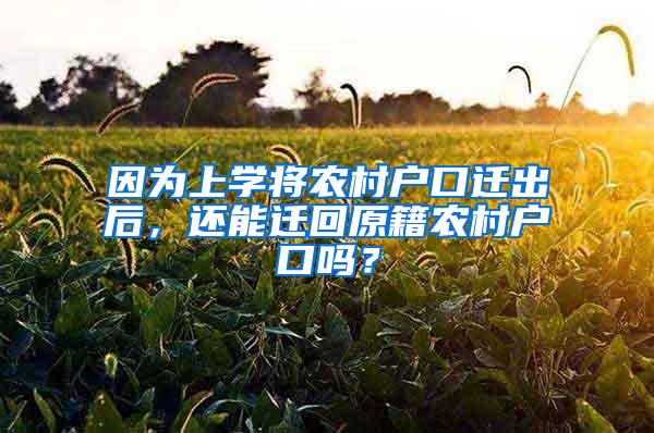 因为上学将农村户口迁出后，还能迁回原籍农村户口吗？