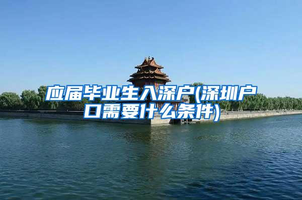 应届毕业生入深户(深圳户口需要什么条件)