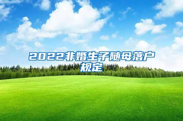 2022非婚生子随母落户规定