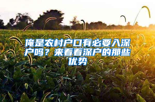 俺是农村户口有必要入深户吗？来看看深户的那些优势