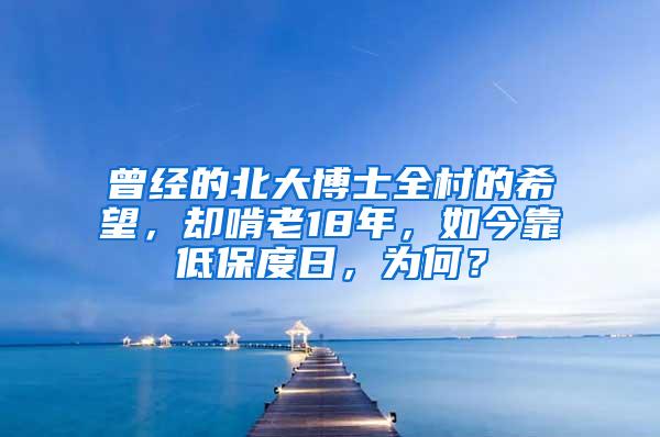 曾经的北大博士全村的希望，却啃老18年，如今靠低保度日，为何？