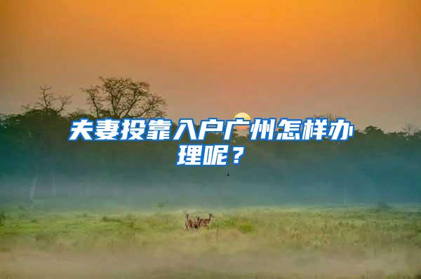 夫妻投靠入户广州怎样办理呢？
