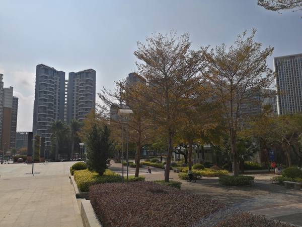 应届生代理入户深圳收费