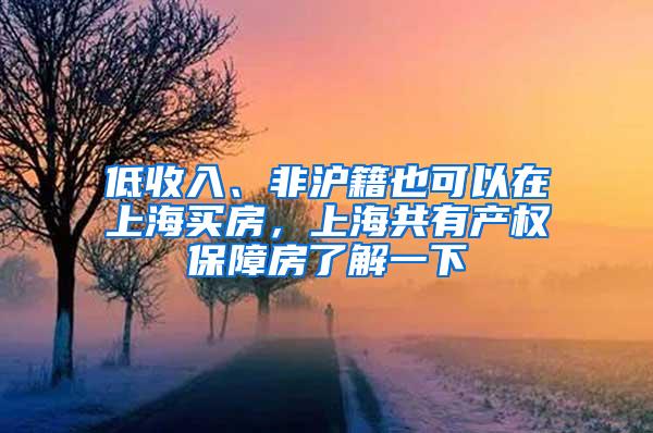 低收入、非沪籍也可以在上海买房，上海共有产权保障房了解一下