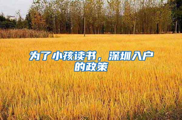 为了小孩读书,深圳入户的政策