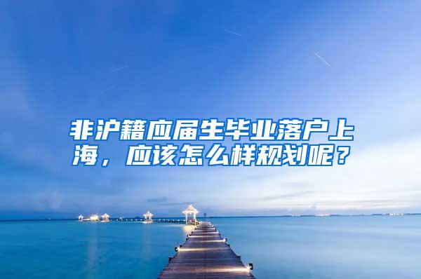 非沪籍应届生毕业落户上海，应该怎么样规划呢？