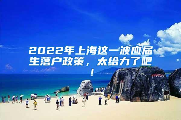 2022年上海这一波应届生落户政策，太给力了吧！