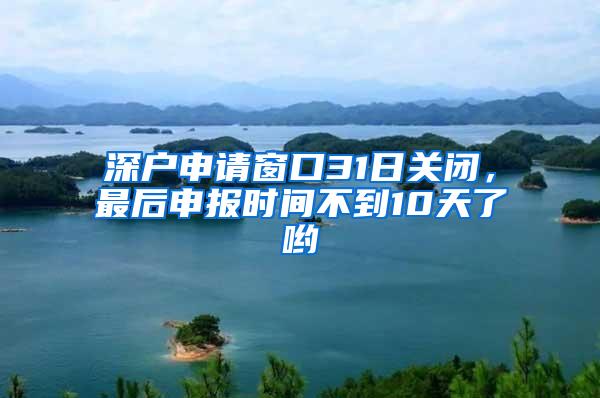 深户申请窗口31日关闭，最后申报时间不到10天了哟