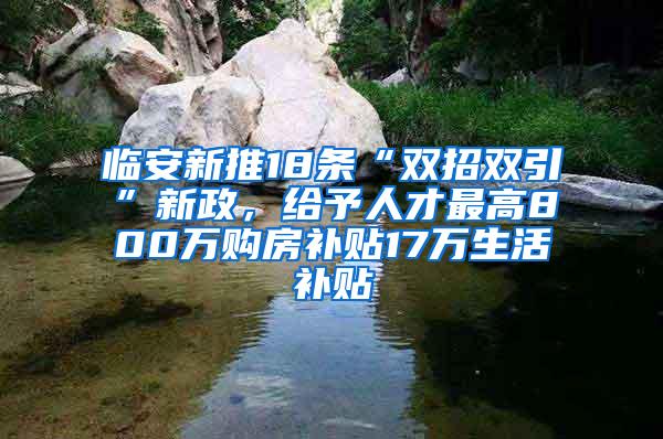 临安新推18条“双招双引”新政，给予人才最高800万购房补贴17万生活补贴