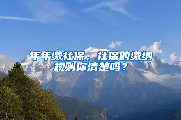 年年缴社保，社保的缴纳规则你清楚吗？