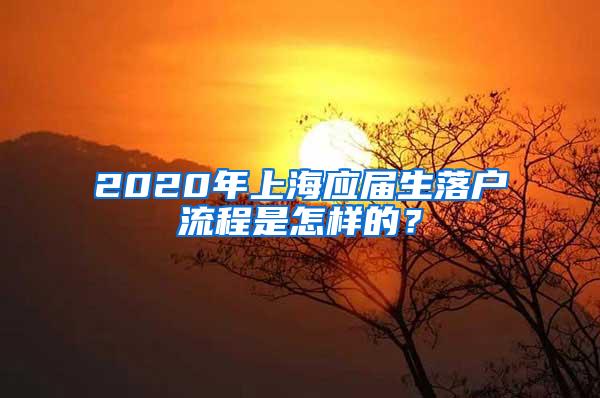 2020年上海应届生落户流程是怎样的？