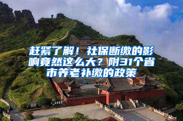 赶紧了解！社保断缴的影响竟然这么大？附31个省市养老补缴的政策