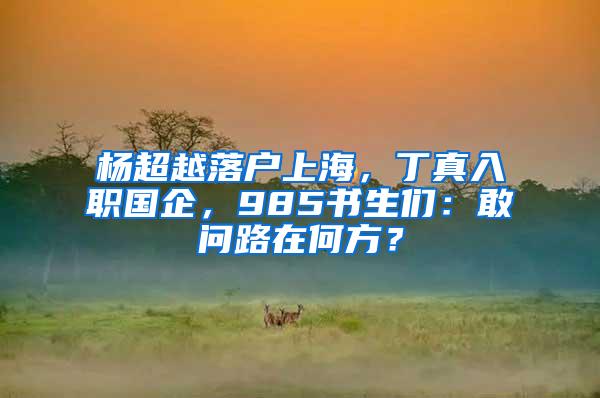 杨超越落户上海，丁真入职国企，985书生们：敢问路在何方？