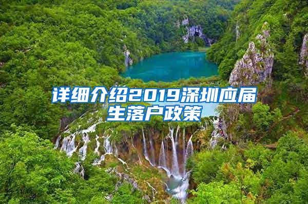 详细介绍2019深圳应届生落户政策