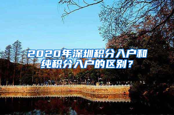 2020年深圳积分入户和纯积分入户的区别？