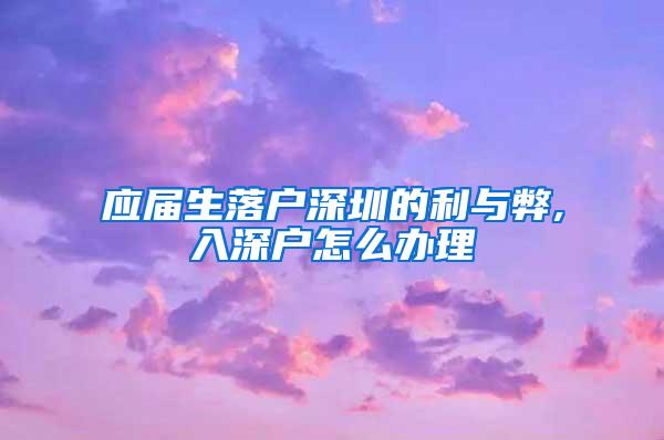 应届生落户深圳的利与弊,入深户怎么办理