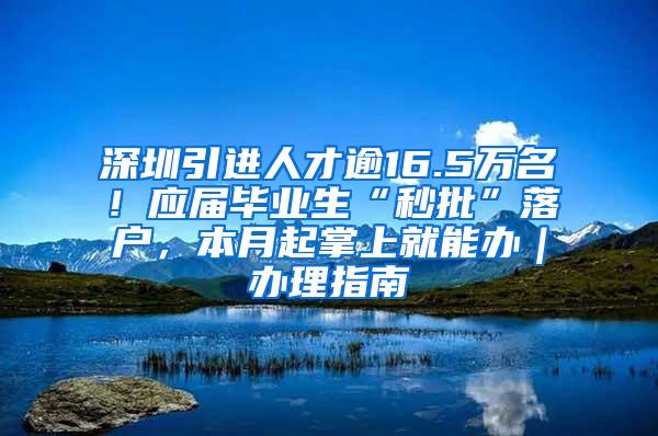 深圳引进人才逾16.5万名！应届毕业生“秒批”落户，本月起掌上就能办｜办理指南