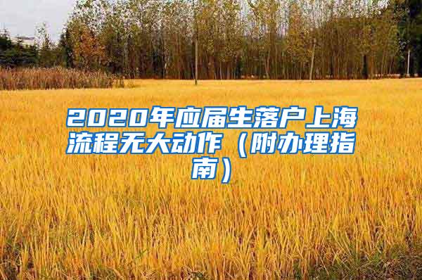 2020年应届生落户上海流程无大动作（附办理指南）