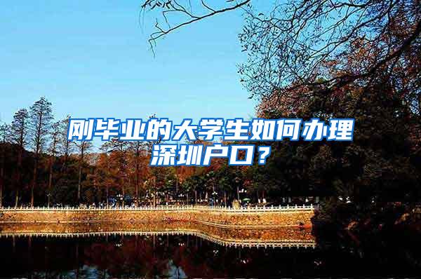 刚毕业的大学生如何办理深圳户口？