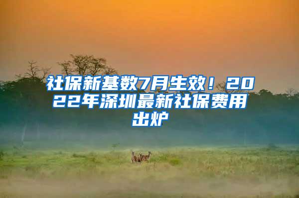 社保新基数7月生效！2022年深圳最新社保费用出炉